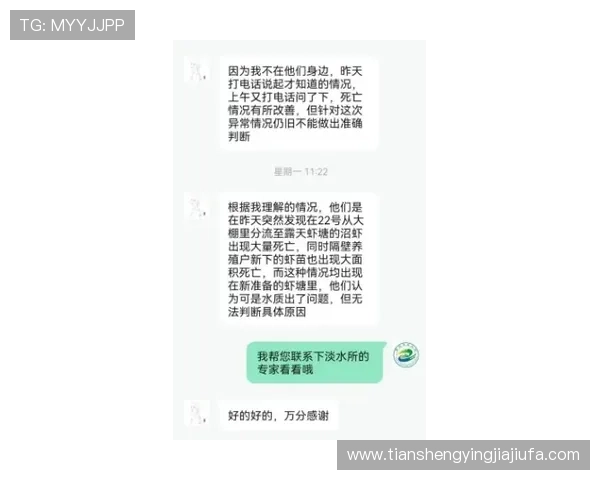 凯发客户端平台官网的技术支持与客户服务体系全方位解答用户疑问